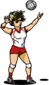 Volleyball